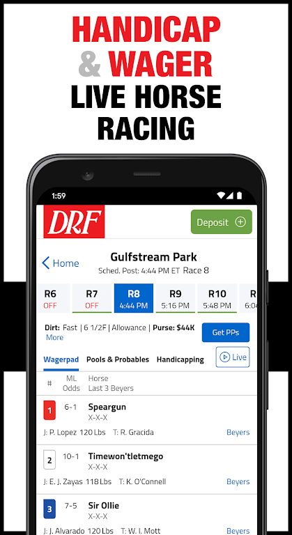 DRF Horse Racing  Screenshot 2