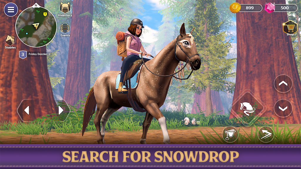 Star Equestrian - Horse Ranch  Screenshot 3