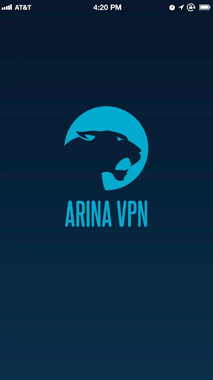 ARINA VPN  Screenshot 1