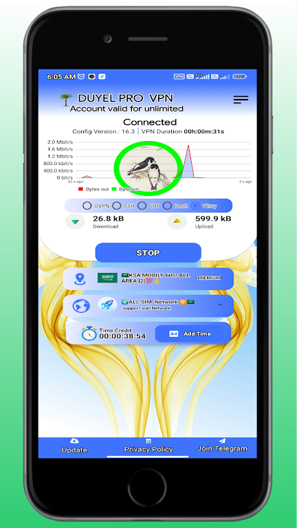 Duyel pro vpn & multi protocol  Screenshot 1