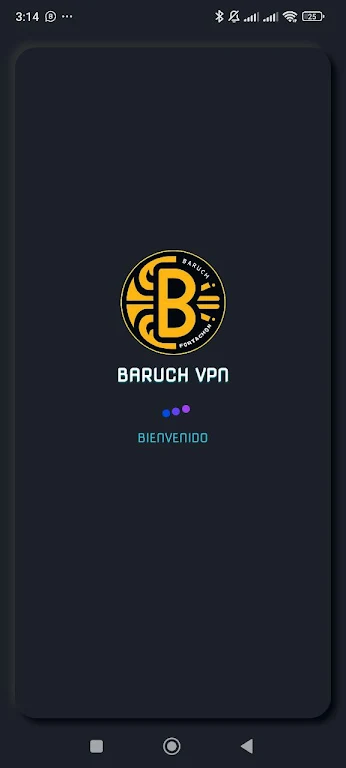 BARUCH VPN  Screenshot 1