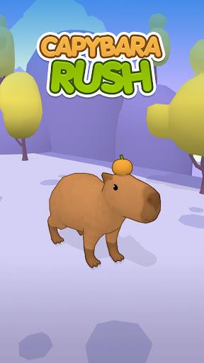 Capybara Rush  Screenshot 1