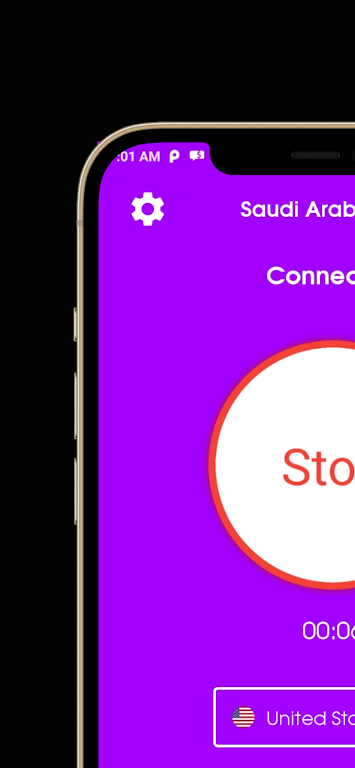 Saudi Arab VPN : fast proxy  Screenshot 1