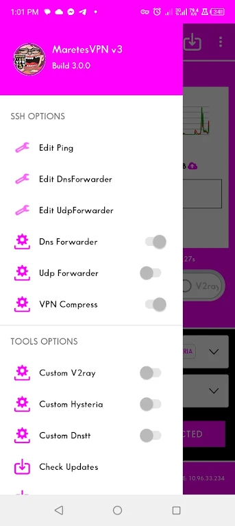 MaretesVPN v3  Screenshot 1