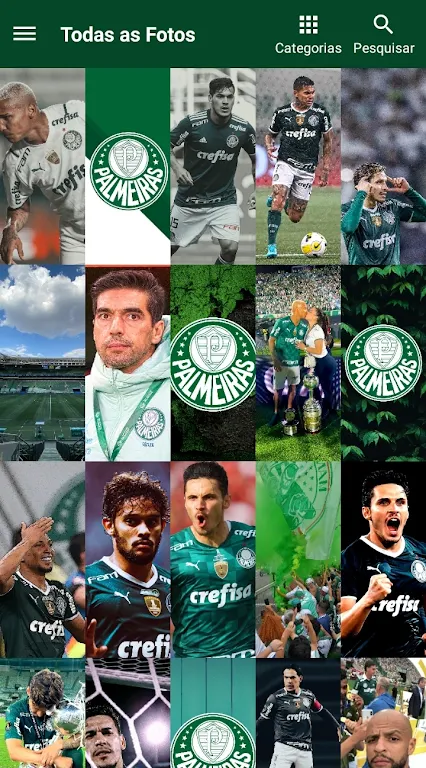 Palmeiras Papel de Parede - HD  Screenshot 1