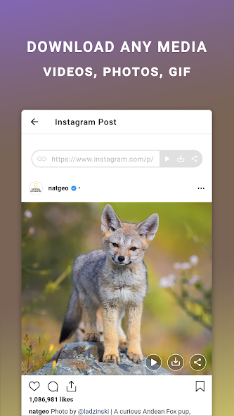 Friendly For Instagram Mod  Screenshot 2