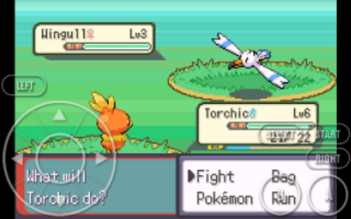 Pokemon: Emerald Theta  Screenshot 1