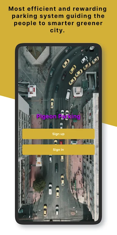 Pigeon Parking: Peoples Choice  Screenshot 1