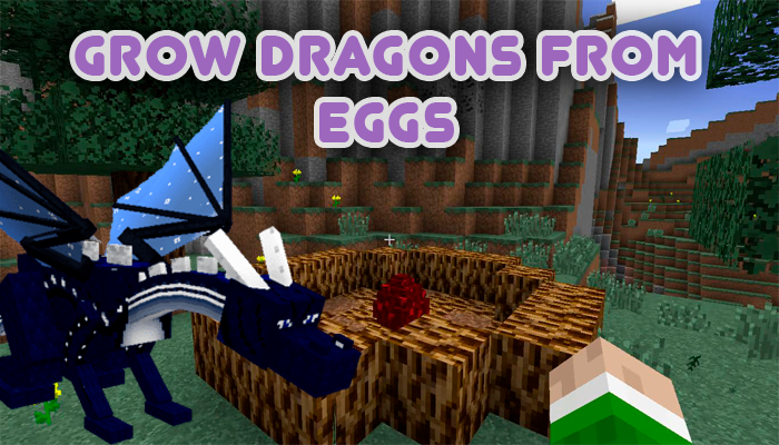 Dragons mod for Minecraft PE Mod  Screenshot 1