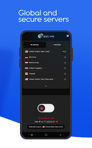 BerdVPN  Screenshot 2