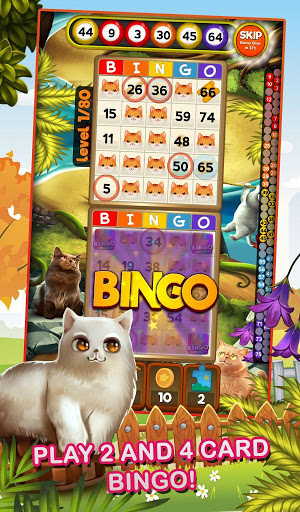 Bingo Pets Mania: Cat Craze  Screenshot 4