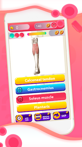 Human Anatomy And Physiology Quiz  Screenshot 4