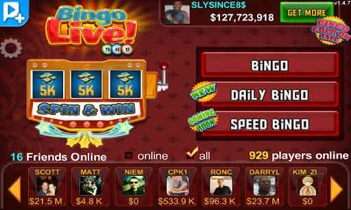 Bingo LIVE!  Screenshot 3