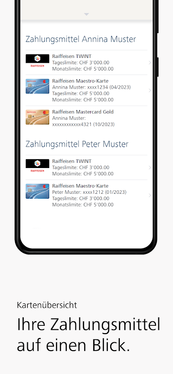 Raiffeisen E-Banking  Screenshot 4