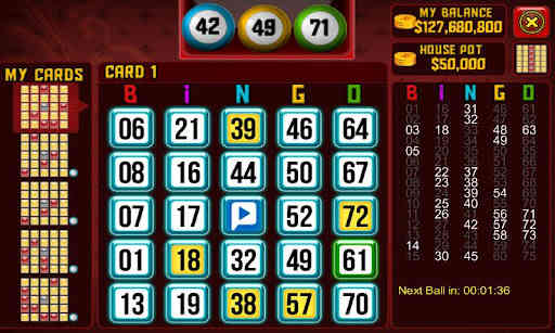 Bingo LIVE!  Screenshot 1