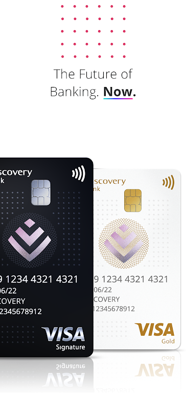 Discovery Bank  Screenshot 1