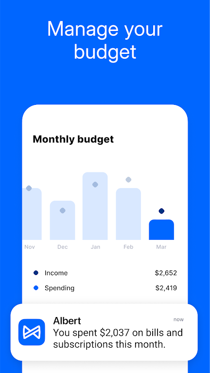 Albert: Budgeting and Banking  Screenshot 2