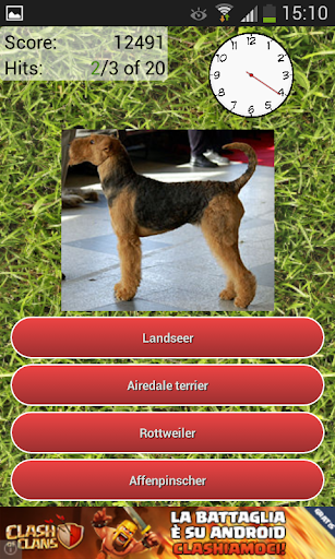 Dog Breeds Quiz  Screenshot 2