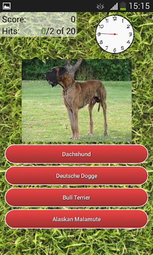 Dog Breeds Quiz  Screenshot 4