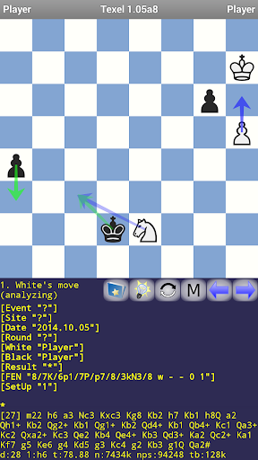 Texel Chess Engine  Screenshot 2