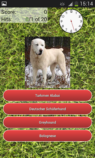 Dog Breeds Quiz  Screenshot 1