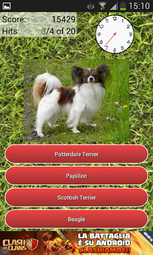 Dog Breeds Quiz  Screenshot 3