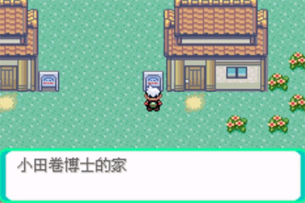 口袋妖怪传说绿宝石1.6.0最新版本 Screenshot 2