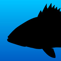 Fish Rules: Fishing App APK