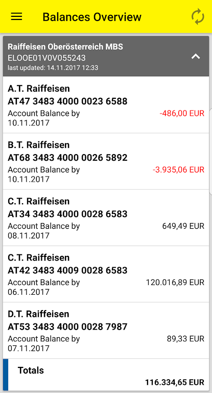 Raiffeisen Business Banking  Screenshot 2