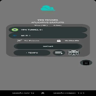 VPN TUNNEL  Screenshot 3