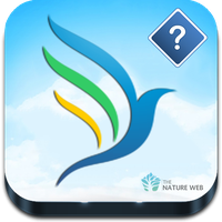 Guess the Bird - Photo Quiz APK