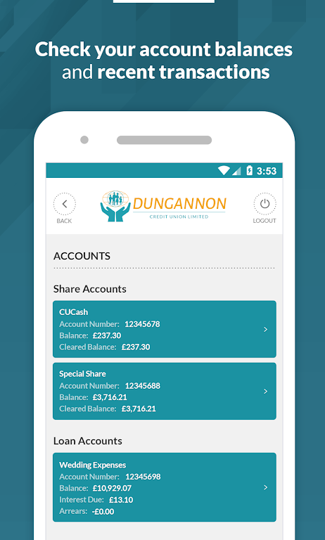 Dungannon Credit Union  Screenshot 2