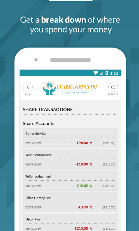 Dungannon Credit Union  Screenshot 3