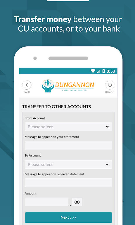 Dungannon Credit Union  Screenshot 4