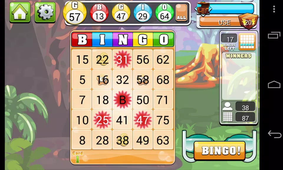 Bingo Casino - Free Vegas Casino Slot Bingo Game  Screenshot 3