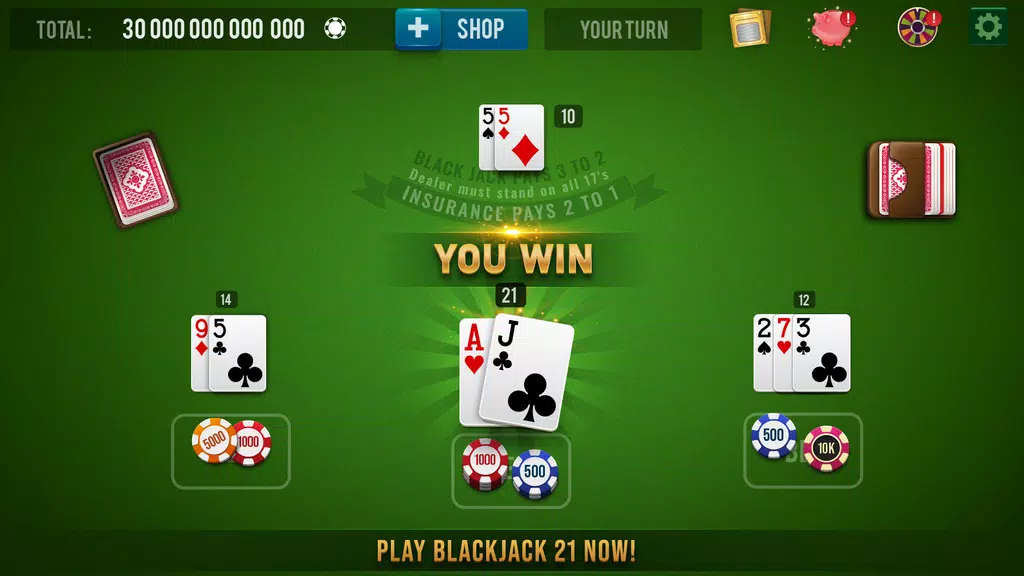 BLACKJACK 21 - 21 Card Game  Screenshot 1