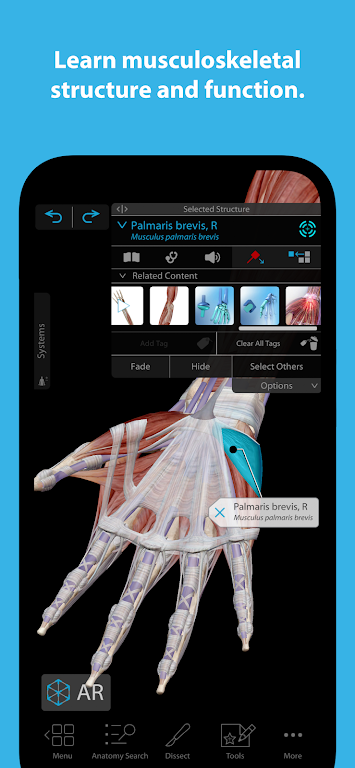 Human Anatomy Atlas 2024 Mod  Screenshot 3