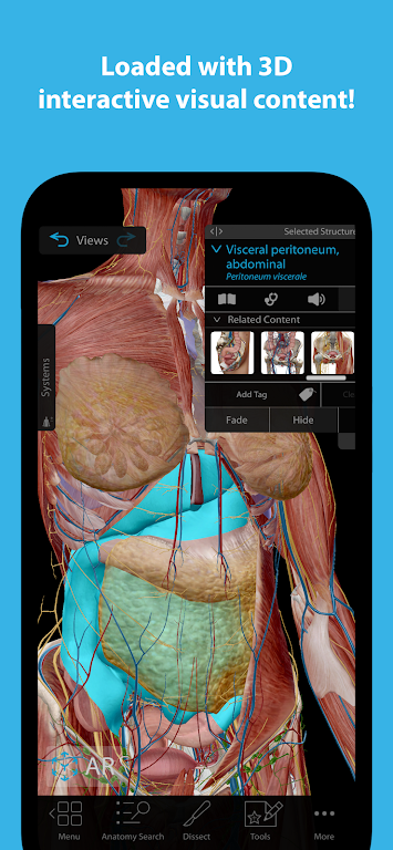 Human Anatomy Atlas 2024 Mod  Screenshot 1