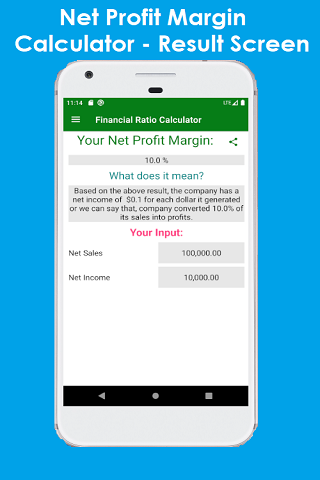 Financial Ratio Calculator  Screenshot 3