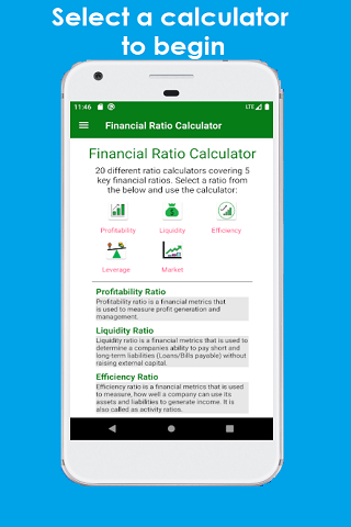 Financial Ratio Calculator  Screenshot 1