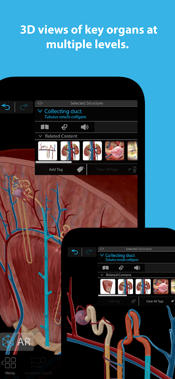 Human Anatomy Atlas 2024 Mod  Screenshot 2