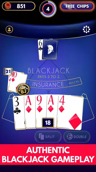 Blackjack Offline  Screenshot 3