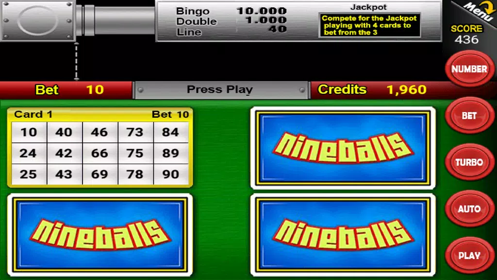 Nine Balls Video Bingo  Screenshot 1