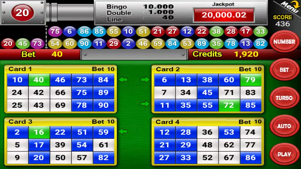 Nine Balls Video Bingo  Screenshot 2