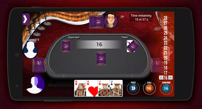 29 Card  Screenshot 3