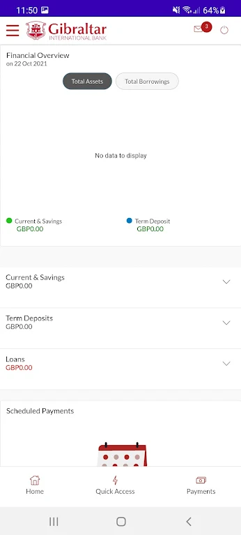 Gibraltar Int. Bank Ltd  Screenshot 3