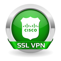 SSL VPN FREE APK