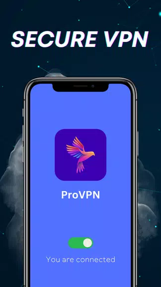 ProVPN - Secure Internet  Screenshot 1