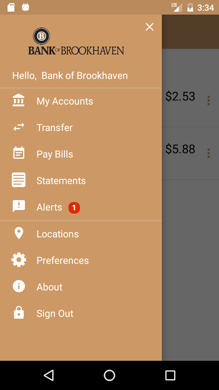 B.O.B. Mobile Banking  Screenshot 3