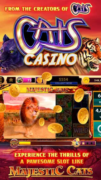 CATS Casino – Real Hit Slot Ma  Screenshot 1